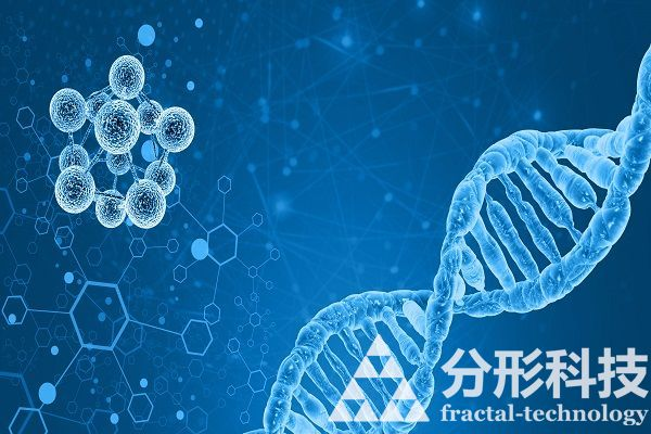 醫(yī)院網(wǎng)站建設(shè)：創(chuàng)新醫(yī)療，便捷就醫(yī)